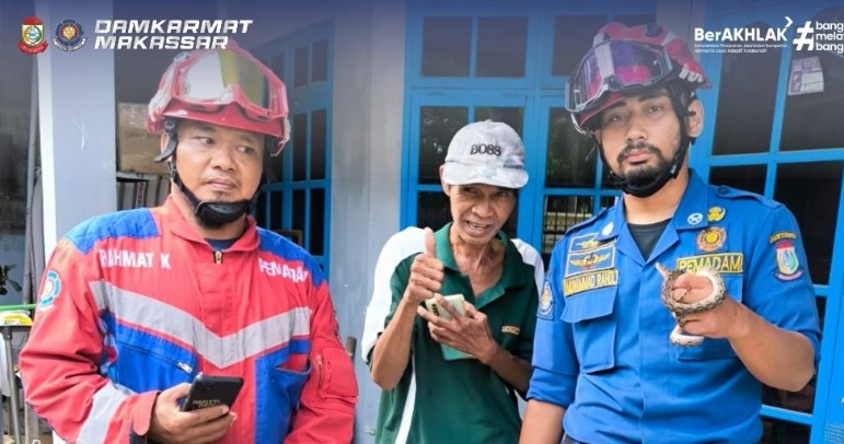 Petugas Penyelamat MAKO Evakuasi Ular dari Rumah Warga di Kecamatan Bontoala